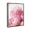 Stupell Industries Blush Pink Peonies Florals Framed Floater Canvas Wall Art